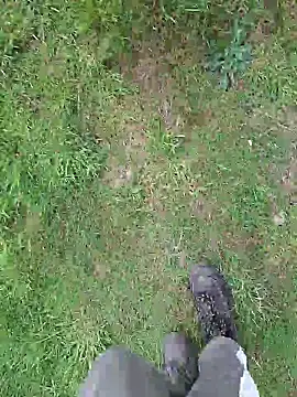 FreezingTie850 online show from April 2026 10:00:02 AM