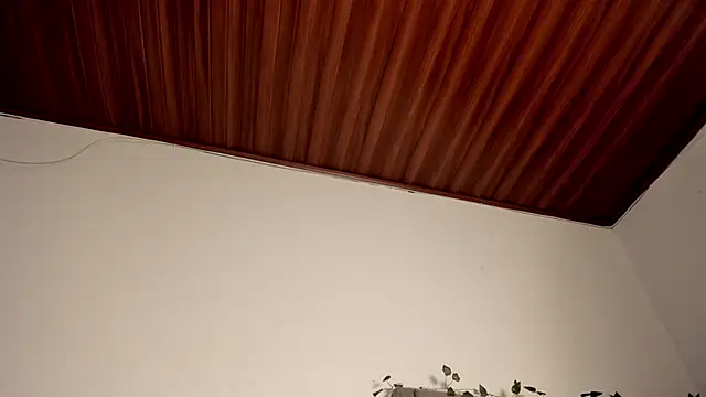 Honeyco 5 online show from January 2025 11:00:02 AM