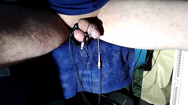 Camaroshelby online show from November 2025 09:35:01 AM