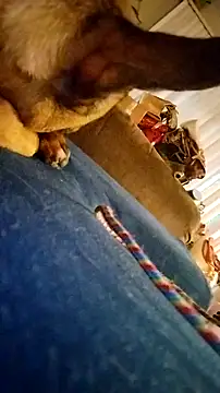 fukurbutt online show from February 2026 03:42:01 PM