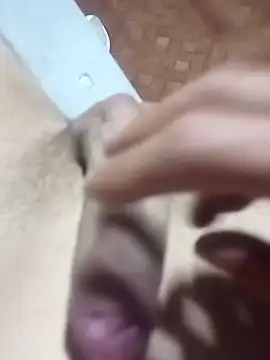 El22 1431 online show from November 2025 05:18:02 AM