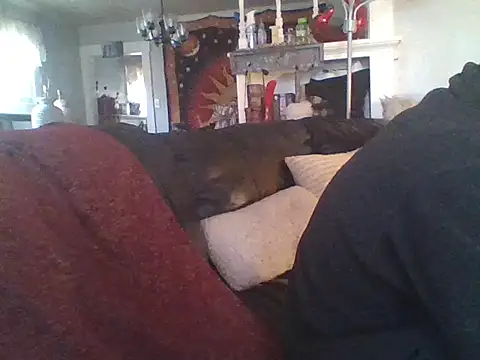 LongDickLance online show from January 2026 02:34:02 PM