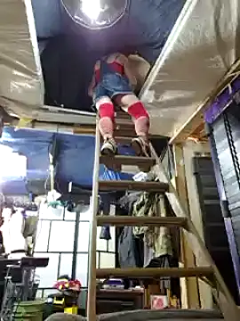 cdressupdiva online show from February 2025 11:40:02 AM