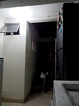 sebasxx97 online show from February 2026 02:33:01 AM