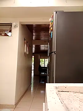 sebasxx97 online show from February 2026 06:19:01 PM