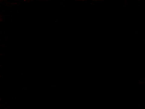 BIGPINKBYRD online show from March 2026 02:00:02 AM