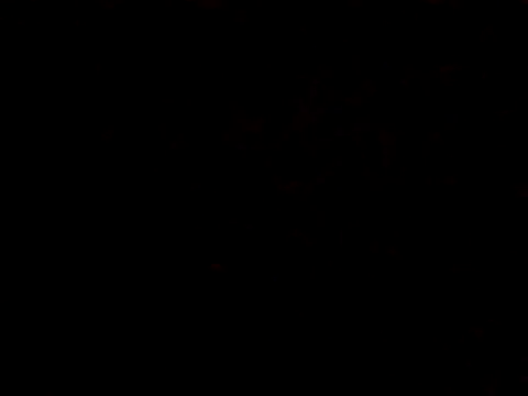 BIGPINKBYRD online show from October 2025 01:04:02 AM