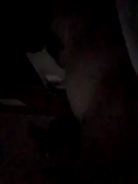 BIGPINKBYRD online show from April 2026 03:46:02 AM