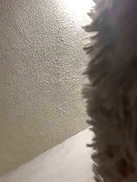 talitasilvx online show from March 2025 11:09:01 PM