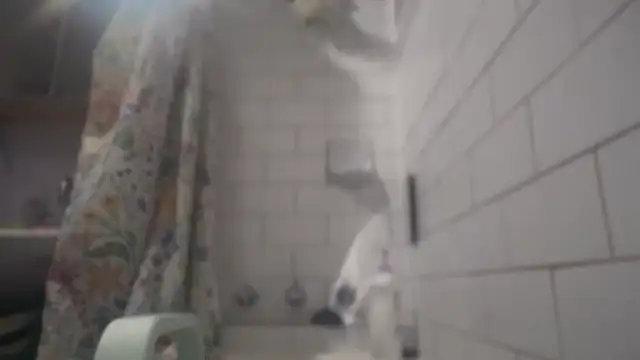 bukkakebae1 online show from December 2025 02:19:01 PM