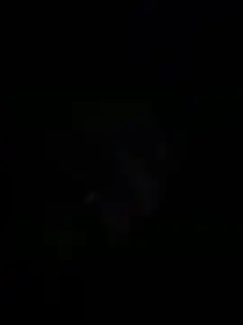 sylviahhh online show from April 2026 01:56:01 AM