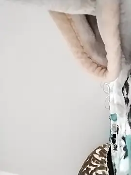 nayakaA7 online show from March 2026 11:39:02 AM