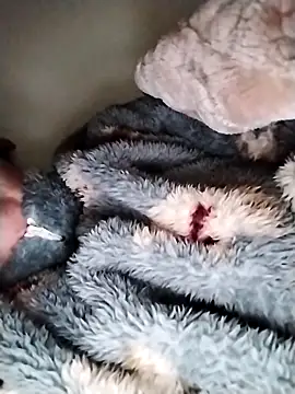 nayakaA7 online show from March 2026 09:27:01 AM