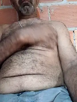 Sergipano fogozinho online show from March 2026 12:54:02 AM