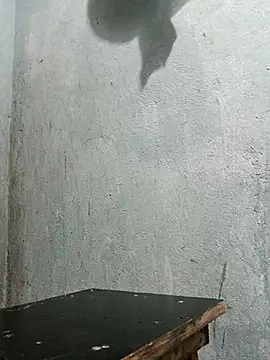 Sergipano fogozinho online show from December 2025 01:49:02 AM