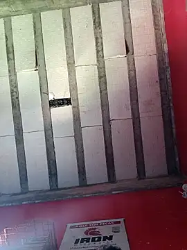 Sergipano fogozinho online show from November 2025 04:32:01 PM