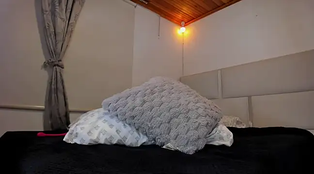 Snapshot of tierra_n chatting on February 2025 11:54:01 PM tierra n online show from February 2025 11:54:01 PM