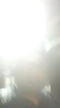 ssamit0808 online show from February 2025 07:17:02 PM