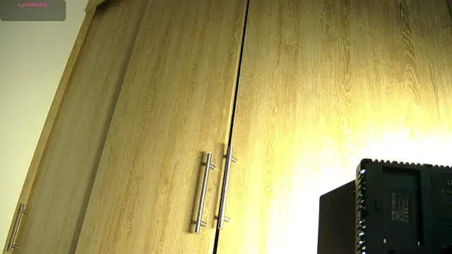 Snapshot of aidaadams chatting on November 2025 10:47:02 AM aidaadams online show from November 2025 10:47:02 AM