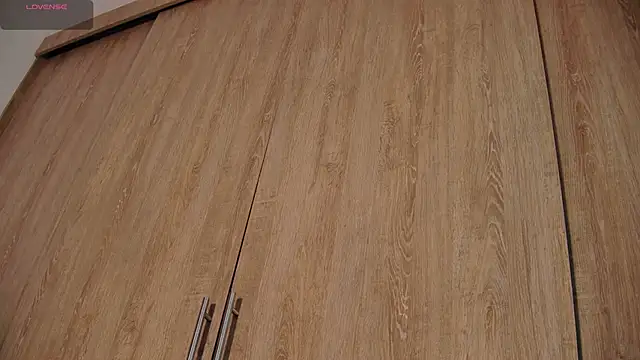 Snapshot of aidaadams chatting on December 2025 11:16:02 AM aidaadams online show from December 2025 11:16:02 AM