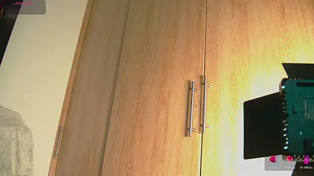 Snapshot of aidaadams chatting on October 2025 10:59:01 AM aidaadams online show from October 2025 10:59:01 AM