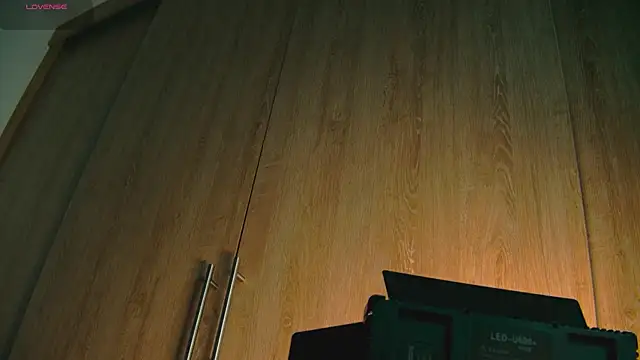 Snapshot of aidaadams chatting on October 2025 08:24:02 AM aidaadams online show from October 2025 08:24:02 AM