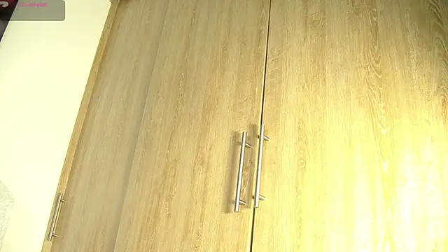 Snapshot of aidaadams chatting on November 2025 11:20:02 AM aidaadams online show from November 2025 11:20:02 AM