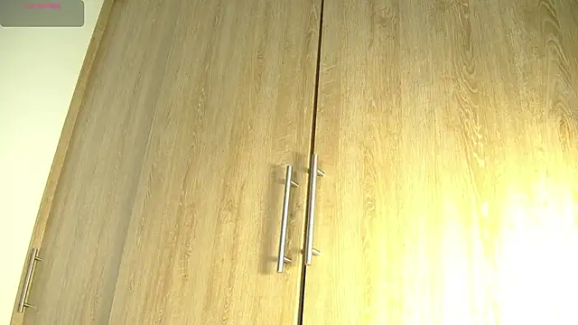 Snapshot of aidaadams chatting on November 2025 11:47:01 AM aidaadams online show from November 2025 11:47:01 AM