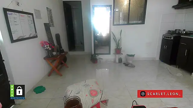 Scarletleon77 online show from April 2026 04:08:02 PM