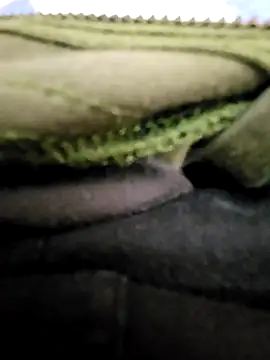 Snapshot of thesmiledoc chatting on February 2025 02:48:02 PM thesmiledoc online show from February 2025 02:48:02 PM