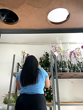 PUSHYLATE online show from November 2025 01:55:02 PM