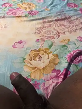 Snapshot of amil93sl chatting on October 2025 06:53:02 PM amil93sl online show from October 2025 06:53:02 PM