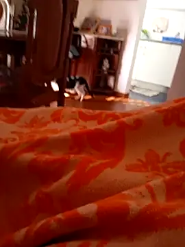 Snapshot of sonia1488 chatting on December 2024 12:23:02 PM sonia1488 online show from December 2024 12:23:02 PM