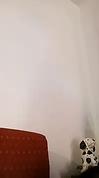 Snapshot of sonia1488 chatting on December 2024 03:35:01 PM sonia1488 online show from December 2024 03:35:01 PM