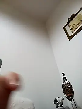 Snapshot of sonia1488 chatting on December 2024 09:40:01 PM sonia1488 online show from December 2024 09:40:01 PM