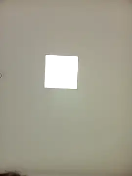 Snapshot of sonia1488 chatting on December 2024 03:55:01 PM sonia1488 online show from December 2024 03:55:01 PM