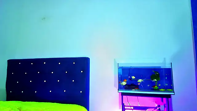 Aliice Doll online show from February 2026 12:18:02 AM