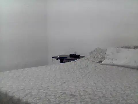 Snapshot of mariy_ chatting on February 2025 09:53:01 PM mariy  online show from February 2025 09:53:01 PM