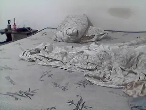 Snapshot of mariy_ chatting on March 2025 04:08:02 AM mariy  online show from March 2025 04:08:02 AM