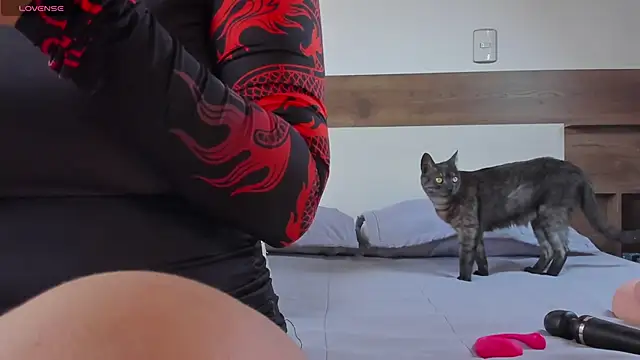 Snapshot of _fullmoon chatting on October 2025 05:47:01 PM fullmoon online show from October 2025 05:47:01 PM