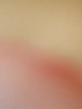 Snapshot of zhenzhen521 chatting on May 2026 03:19:02 PM zhenzhen521 online show from May 2026 03:19:02 PM