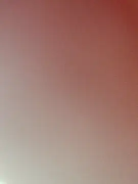 zhenzhen521 online show from February 2026 02:52:01 PM