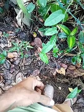 DulajThushara2468 online show from March 2026 02:55:02 AM