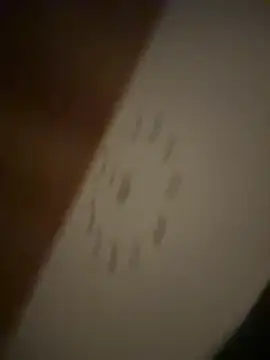 Snapshot of lazoglu0061 chatting on March 2025 12:53:01 AM lazoglu0061 online show from March 2025 12:53:01 AM