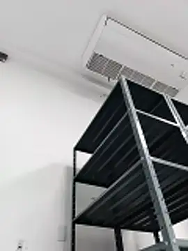 moro28vergon online show from February 2026 04:03:01 AM