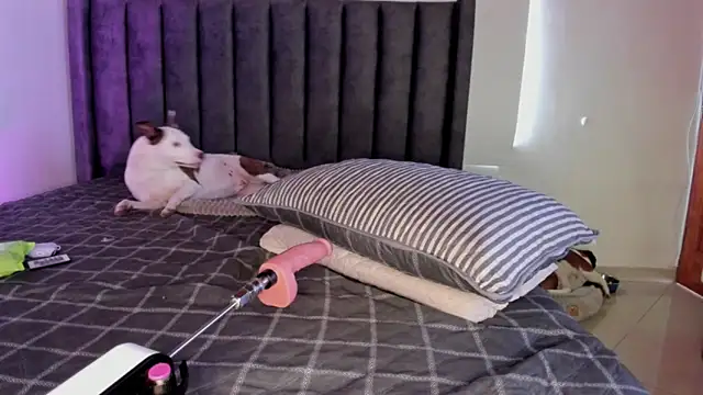 paulina soto online show from April 2026 08:04:02 PM