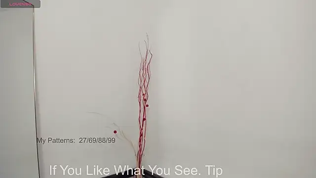 CirceJuno1 online show from May 2026 10:38:01 PM