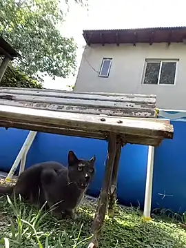 FlorBich online show from February 2026 01:27:01 PM