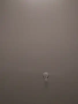 wedge75 online show from November 2025 06:41:02 PM