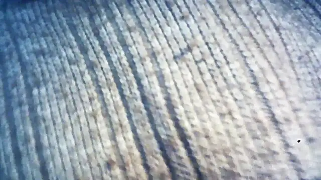 wedge75 online show from December 2024 02:28:02 PM